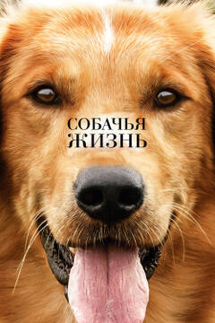 http://upforme.ru/uploads/001a/af/e5/27/t419127.jpg
