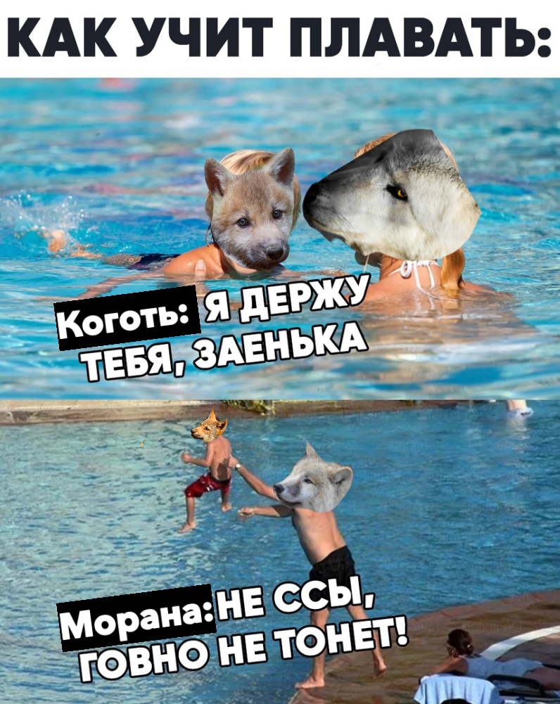 http://upforme.ru/uploads/001a/af/e5/30/457874.jpg