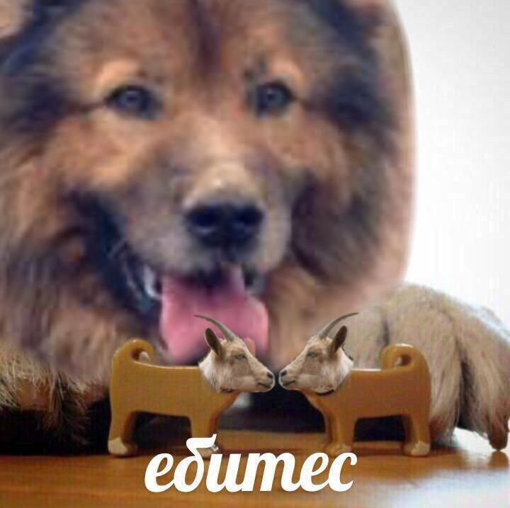 http://upforme.ru/uploads/001a/af/e5/30/593195.png