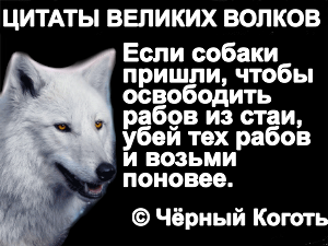 http://upforme.ru/uploads/001a/af/e5/30/68040.png