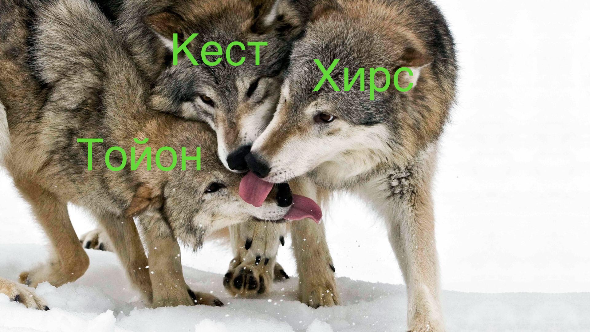 http://upforme.ru/uploads/001a/af/e5/30/876491.jpg