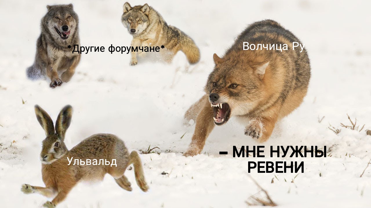 http://upforme.ru/uploads/001a/af/e5/31/855529.jpg