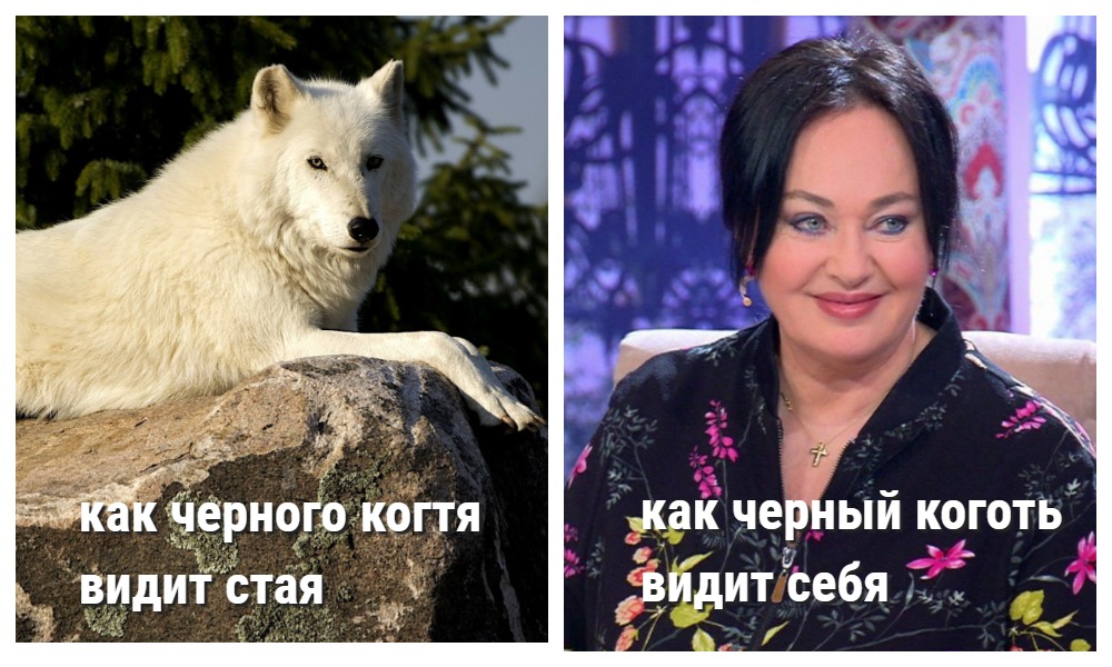 http://upforme.ru/uploads/001a/af/e5/57/423319.jpg