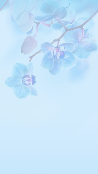http://upforme.ru/uploads/001a/b1/92/2/35699.jpg