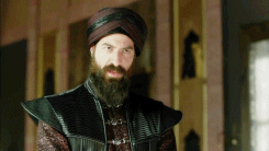 http://upforme.ru/uploads/001a/b1/f1/4/t932786.gif