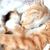 http://upforme.ru/uploads/001a/b3/18/203/409433.gif
