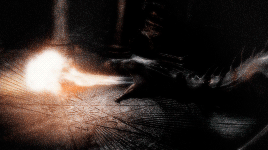 http://upforme.ru/uploads/001a/b3/18/218/t546131.gif