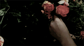 http://upforme.ru/uploads/001a/b3/18/30/388963.gif