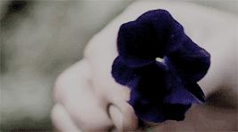 http://upforme.ru/uploads/001a/b3/18/30/526067.gif