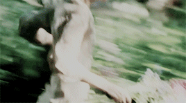 http://upforme.ru/uploads/001a/b3/18/30/778544.gif