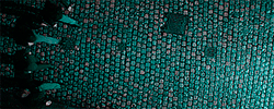 http://upforme.ru/uploads/001a/b3/18/5/12610.gif