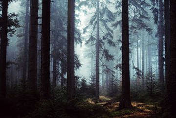 http://upforme.ru/uploads/001a/b3/36/2/t19113.jpg