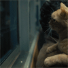 http://upforme.ru/uploads/001a/b3/36/2/t57204.gif