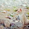 http://upforme.ru/uploads/001a/b3/36/2/t60626.png
