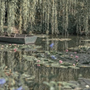 http://upforme.ru/uploads/001a/b3/36/38/13300.png