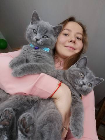 http://upforme.ru/uploads/001a/b5/c9/6/t619011.jpg