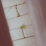 http://upforme.ru/uploads/001a/b5/ed/21/t139524.png