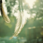 http://upforme.ru/uploads/001a/b5/ed/21/t44661.png