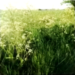 http://upforme.ru/uploads/001a/b5/ed/21/t949390.png