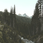 http://upforme.ru/uploads/001a/b5/ed/7/t428808.png