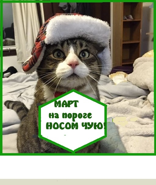 http://upforme.ru/uploads/001a/b7/a9/2/135206.jpg