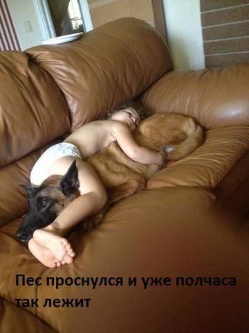 http://upforme.ru/uploads/001a/b7/a9/2/t220042.jpg