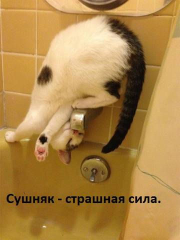 http://upforme.ru/uploads/001a/b7/a9/2/t320396.jpg