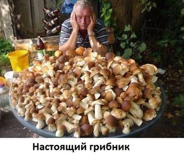 http://upforme.ru/uploads/001a/b7/a9/2/t349157.jpg