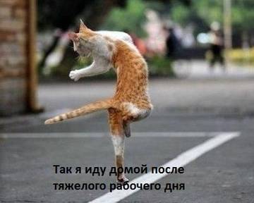 http://upforme.ru/uploads/001a/b7/a9/2/t443535.jpg