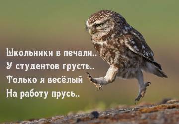 http://upforme.ru/uploads/001a/b7/a9/2/t447655.jpg
