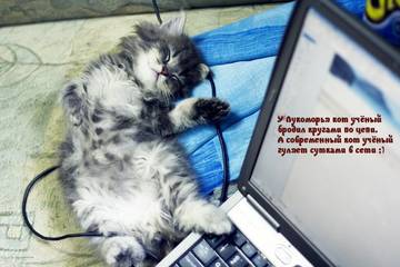 http://upforme.ru/uploads/001a/b7/a9/2/t531449.jpg