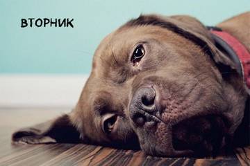http://upforme.ru/uploads/001a/b7/a9/2/t536203.jpg