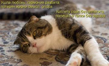 http://upforme.ru/uploads/001a/b7/a9/2/t679210.jpg