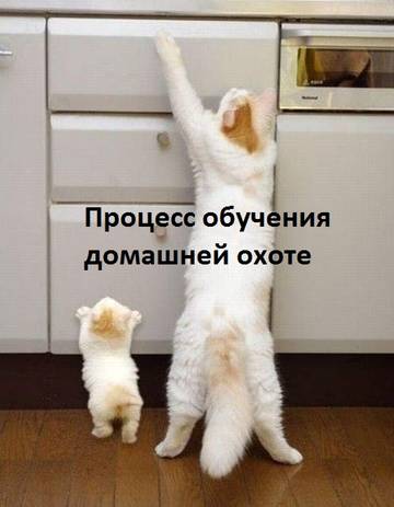 http://upforme.ru/uploads/001a/b7/a9/2/t855054.jpg
