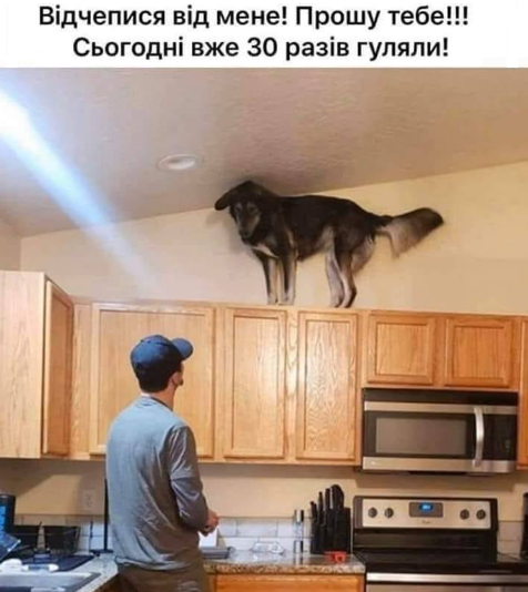 http://upforme.ru/uploads/001a/b7/a9/3/17884.png
