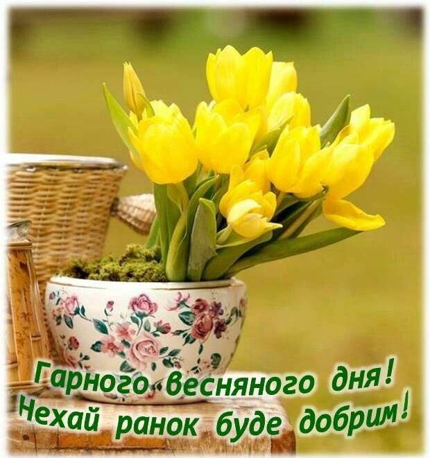 http://upforme.ru/uploads/001a/b7/a9/3/302179.jpg