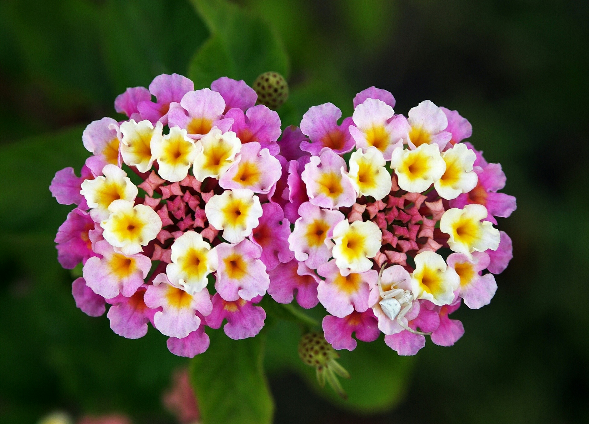 http://upforme.ru/uploads/001a/b7/a9/3/465790.jpg