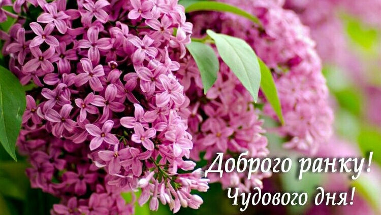 http://upforme.ru/uploads/001a/b7/a9/3/529228.jpg