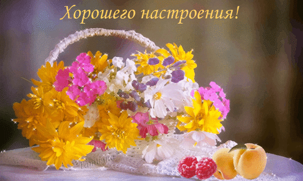 http://upforme.ru/uploads/001a/b7/a9/3/541730.gif