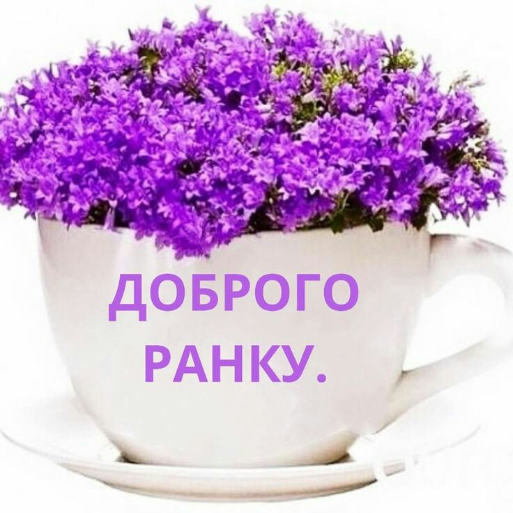 http://upforme.ru/uploads/001a/b7/a9/3/729077.jpg