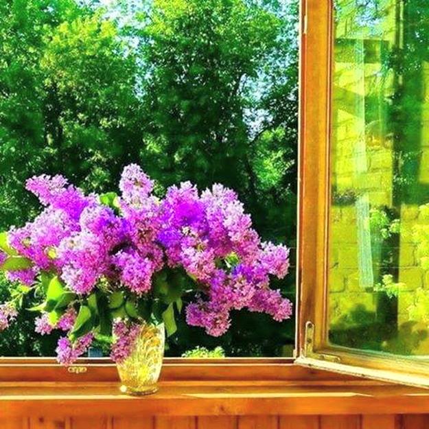 http://upforme.ru/uploads/001a/b7/a9/3/870337.jpg