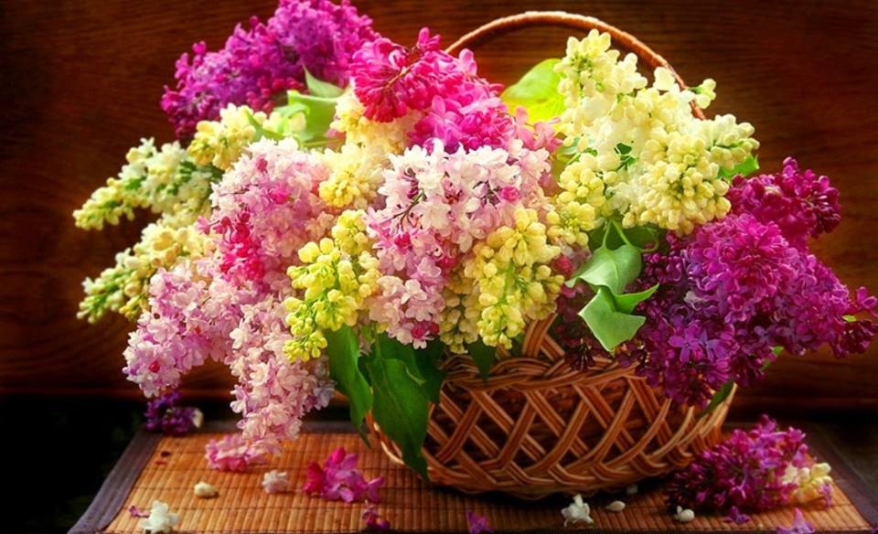 http://upforme.ru/uploads/001a/b7/a9/3/946077.jpg