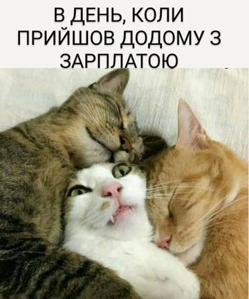 http://upforme.ru/uploads/001a/b7/a9/3/t129263.jpg