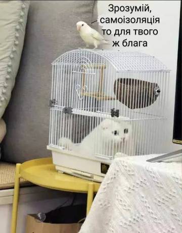 http://upforme.ru/uploads/001a/b7/a9/3/t242115.jpg