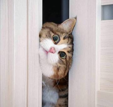 http://upforme.ru/uploads/001a/b7/a9/3/t305983.jpg