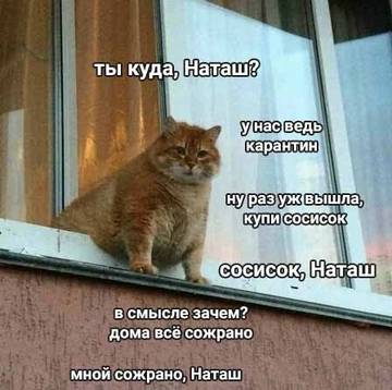 http://upforme.ru/uploads/001a/b7/a9/3/t338326.jpg