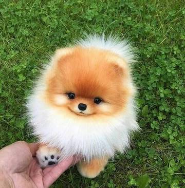 http://upforme.ru/uploads/001a/b7/a9/3/t37462.jpg