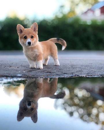 http://upforme.ru/uploads/001a/b7/a9/3/t623646.jpg