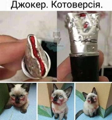 http://upforme.ru/uploads/001a/b7/a9/3/t63736.jpg