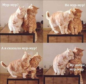 http://upforme.ru/uploads/001a/b7/a9/3/t637511.jpg